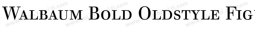Walbaum Bold Oldstyle Figures字体转换